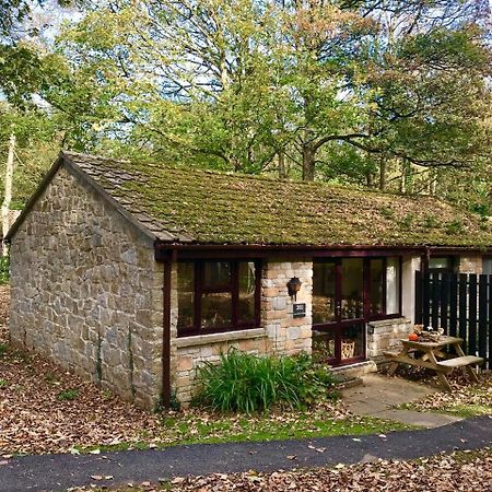 Cosy Woodland Home Uny Lelant Exterior foto