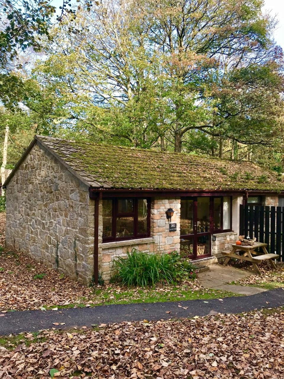 Cosy Woodland Home Uny Lelant Exterior foto
