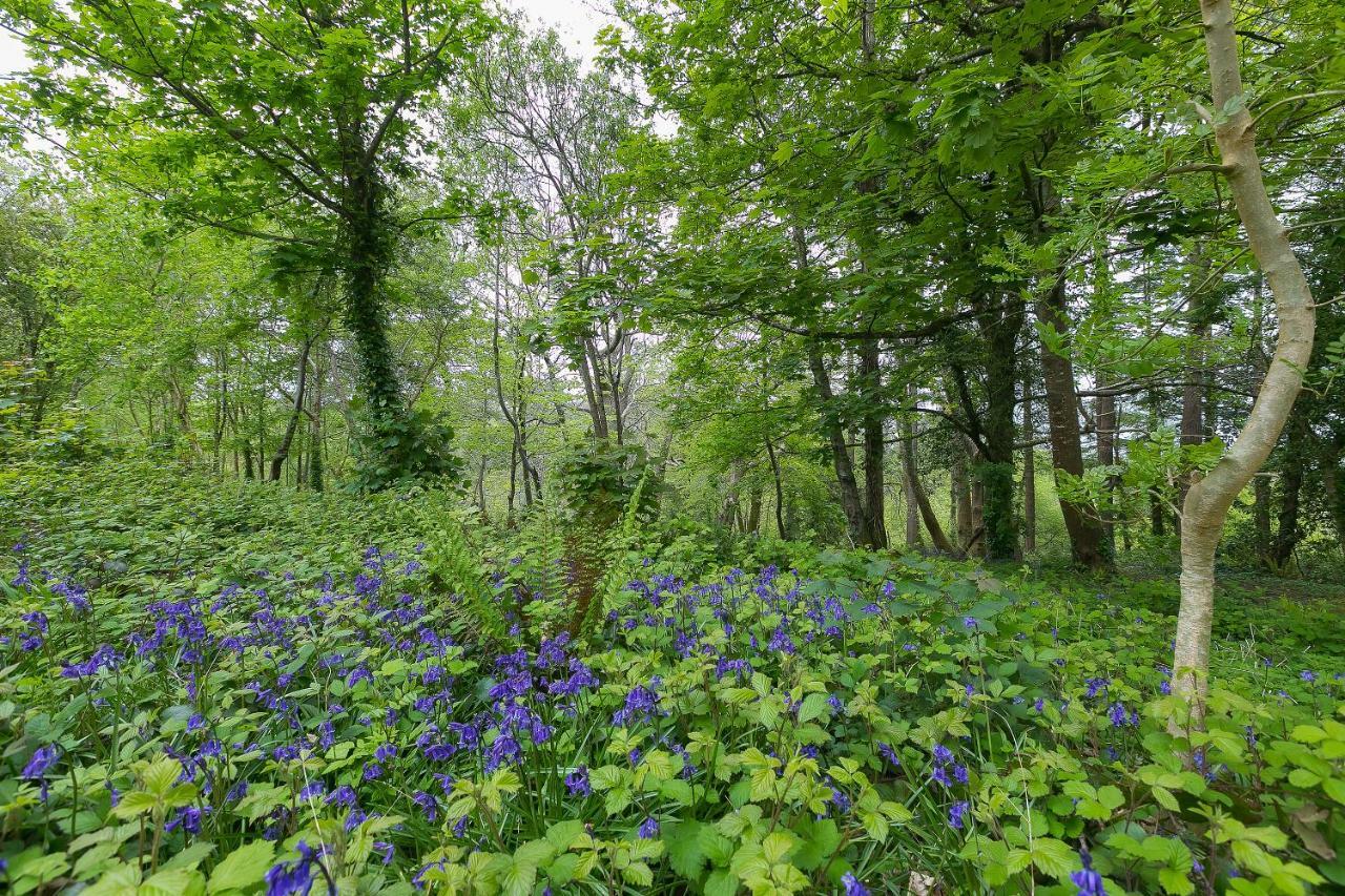 Cosy Woodland Home Uny Lelant Exterior foto